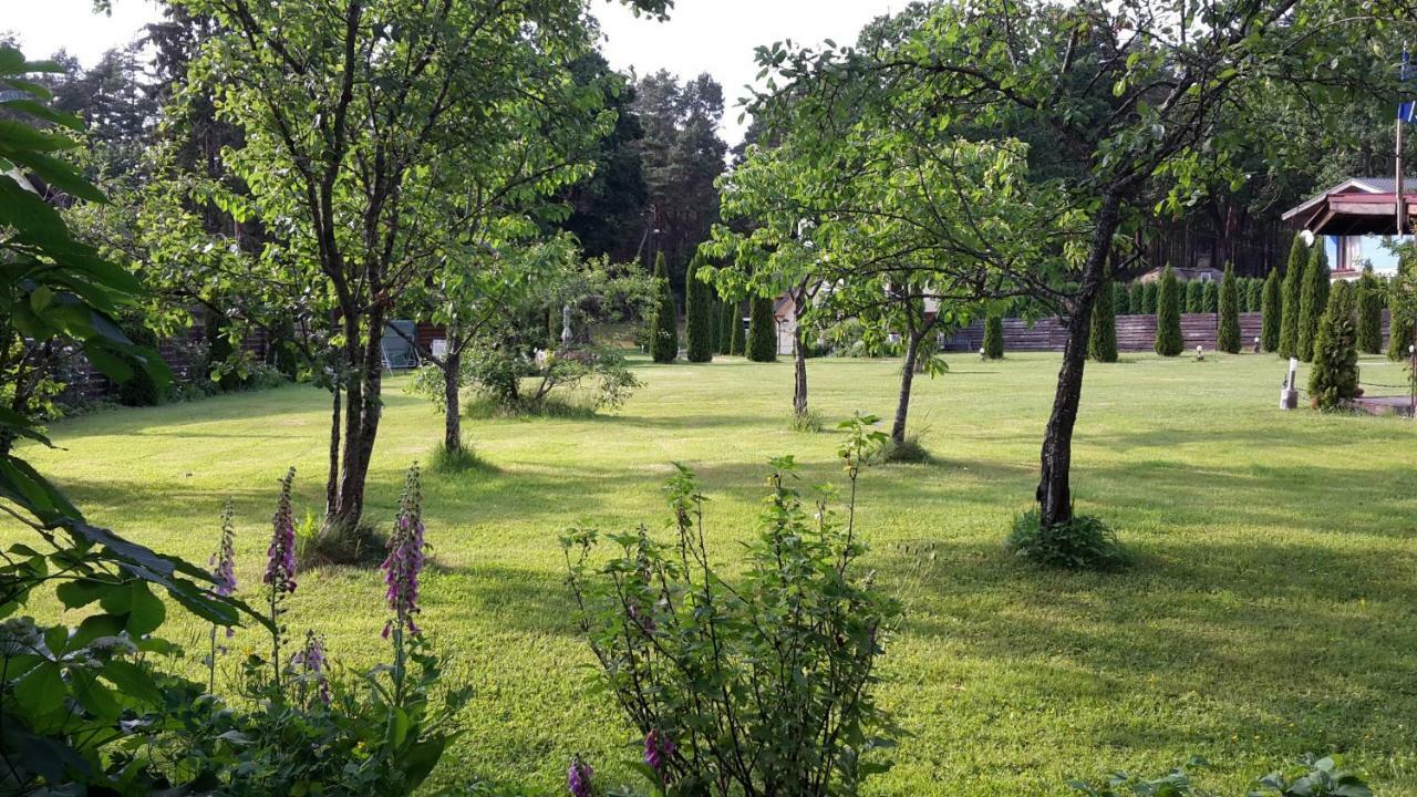 Hébergement de vacances Forest Edge *